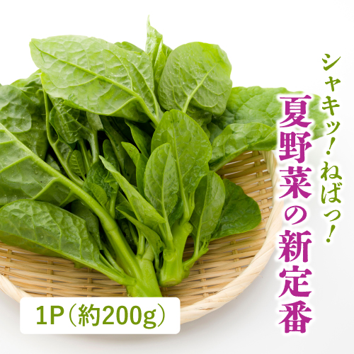 有機つるむらさき（茨城県産）