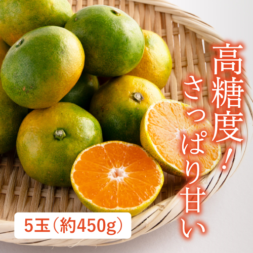 早味かん（福岡県産）