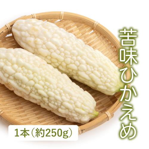 白ゴーヤ （茨城県産）