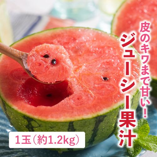 スウィートキッズ（小玉すいか）（茨城県産）