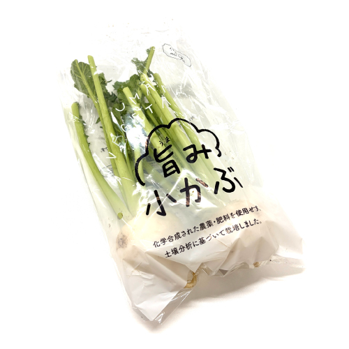 RAKUSAI】 商品詳細