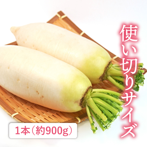 加瀬さんの有機ミニ大根（千葉県産）