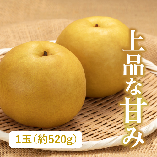 新高梨（千葉県産）
