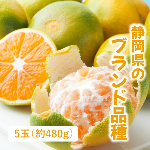 西浦みかん（静岡県産）