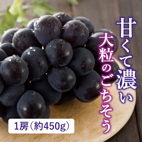 種なしピオーネ（山梨県産）