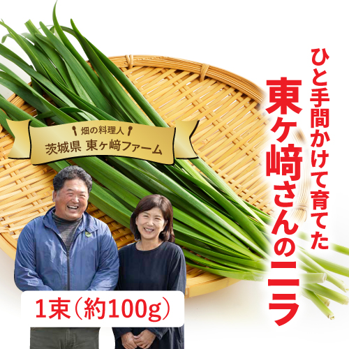東ヶ﨑さんのニラ（茨城県産）