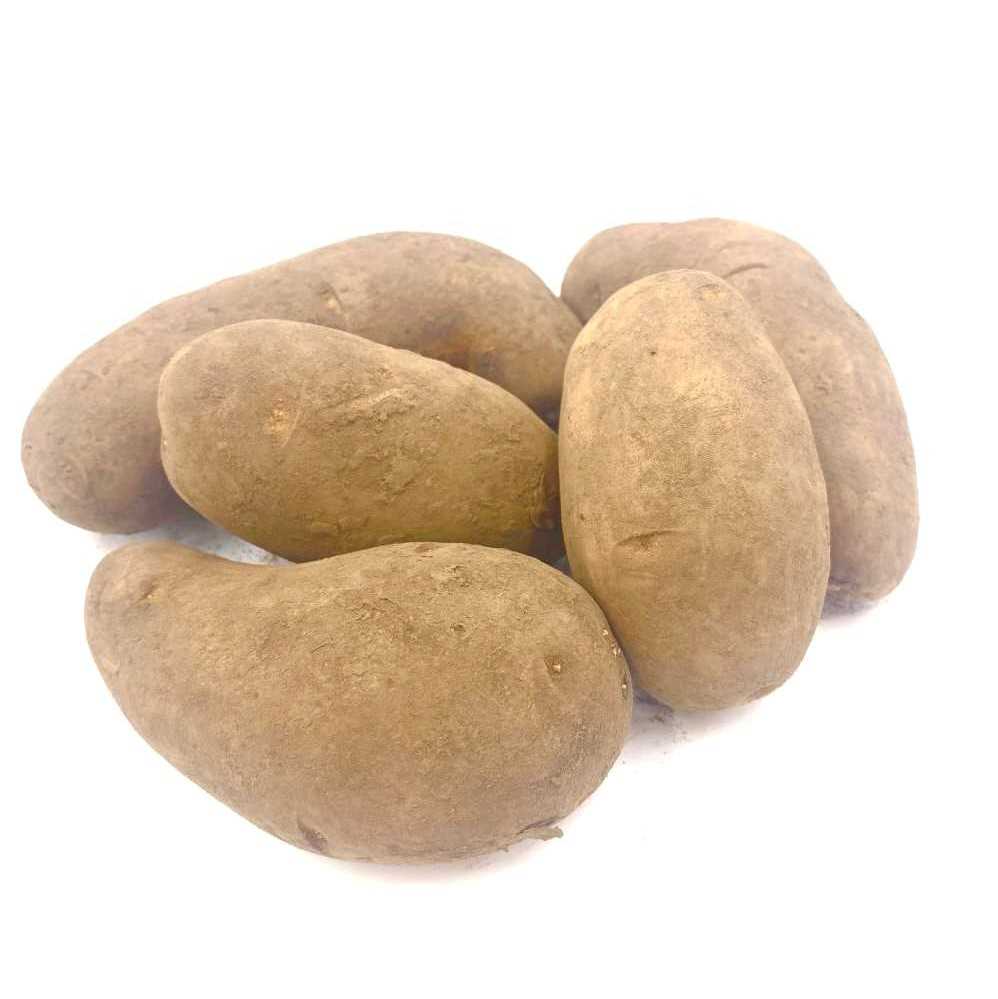 RAKUSAI】 商品詳細