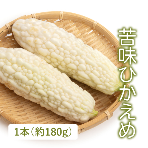 白ゴーヤ（茨城県産）
