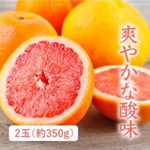 赤肉グレープフルーツ（南アフリカ産）