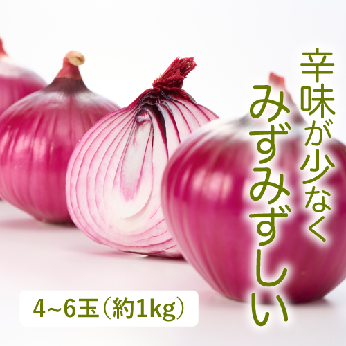 きたみ赤玉ねぎ（北海道産）