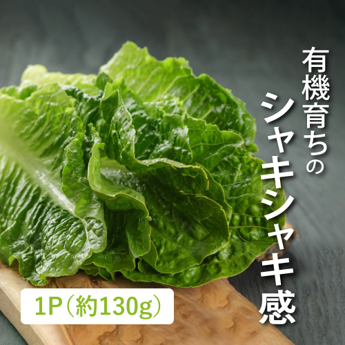 有機ロメインレタス（茨城県産）