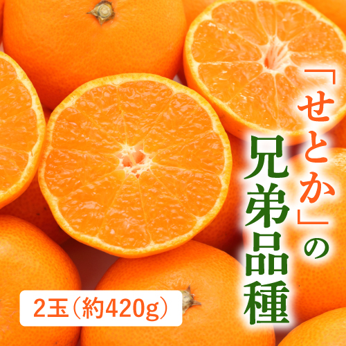 はまさき（佐賀県産）