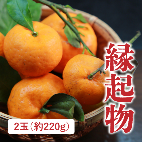 葉付きみかん　2玉（福岡県産）