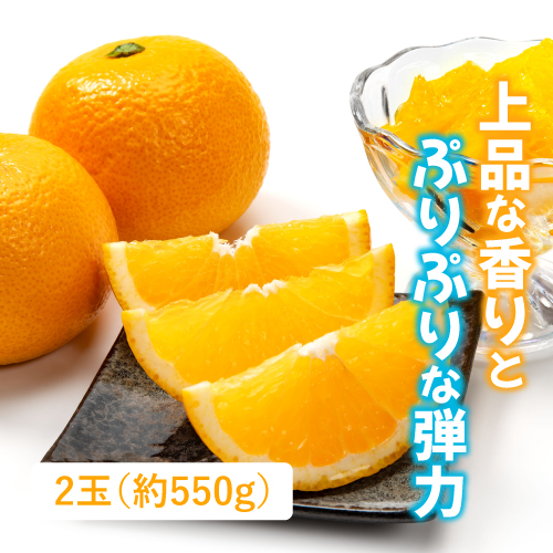 はっさく　2玉（和歌山県産）