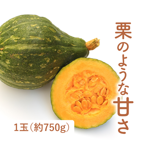 ろろんかぼちゃ（埼玉県産）