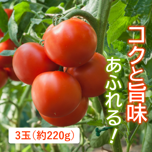 うまみトマト　3玉（北海道産）