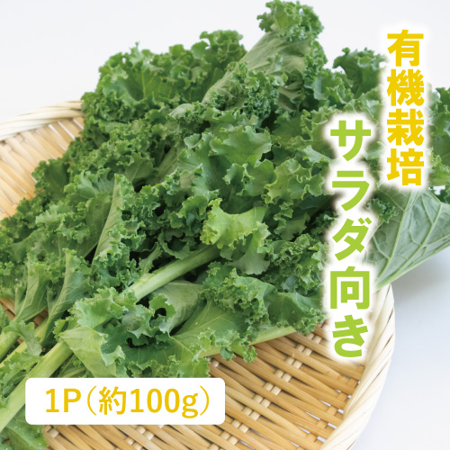 有機ケール（茨城県産）