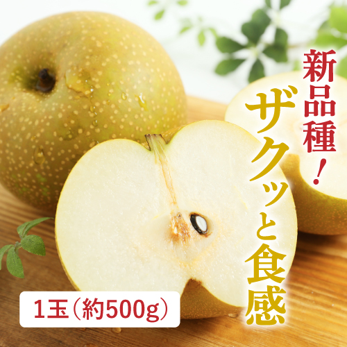 新王梨（新潟県産）