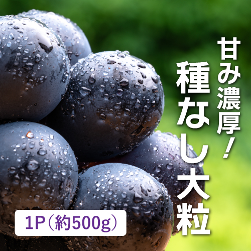 ブラックシードレス（ぶどう）（山梨県産）