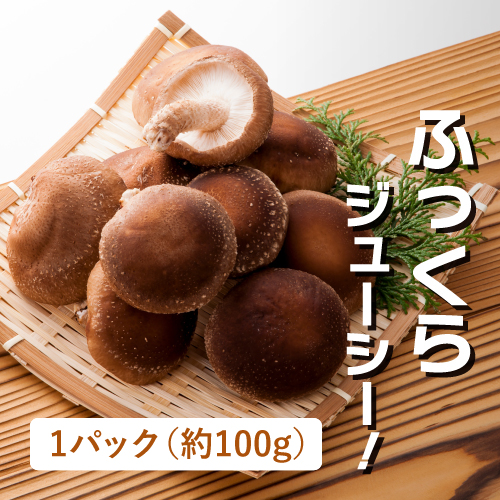 肉厚しいたけ（群馬県産）