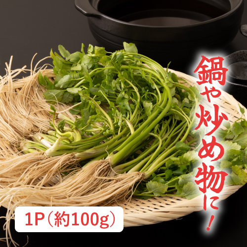 根付きセリ（宮城県産）