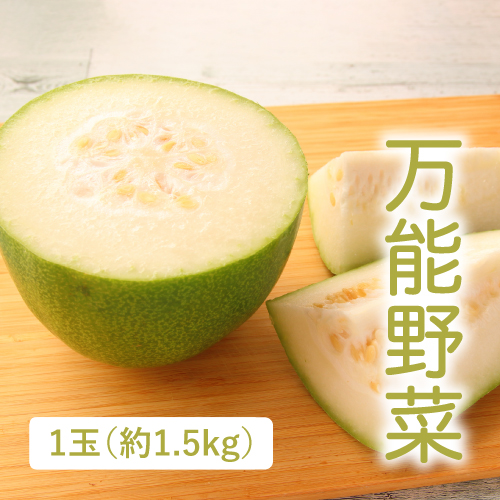有機ミニ冬瓜（千葉県産）