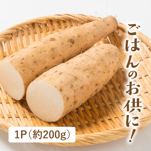 有機長いも（青森県産）