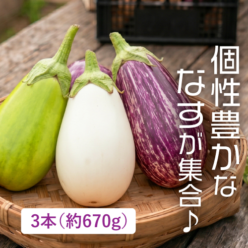 なすトリオ（ゼブラなす、白なす、緑なす）（大阪府産）