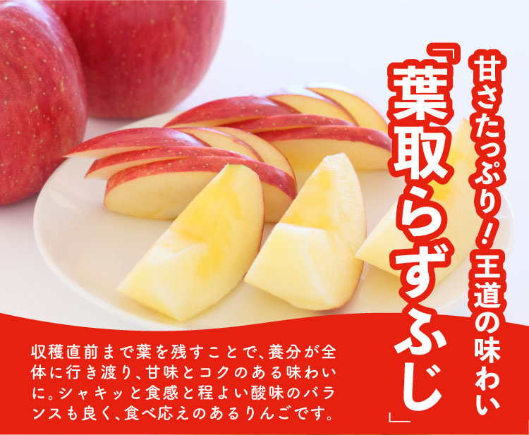 【産地直送】ふぞろいりんご食べ比べセット（青森県産）