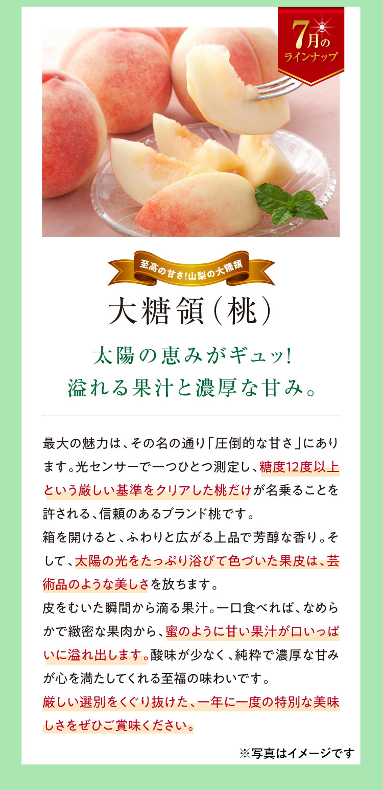 《月に一回のおたのしみ》ご褒美フルーツ定期便