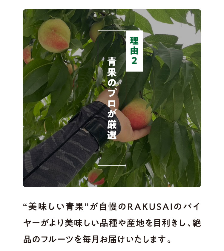 《月に一回のおたのしみ》ご褒美フルーツ定期便