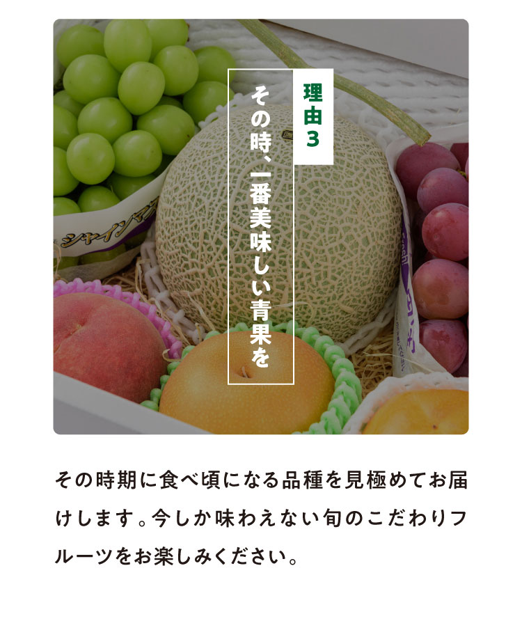 《月に一回のおたのしみ》ご褒美フルーツ定期便
