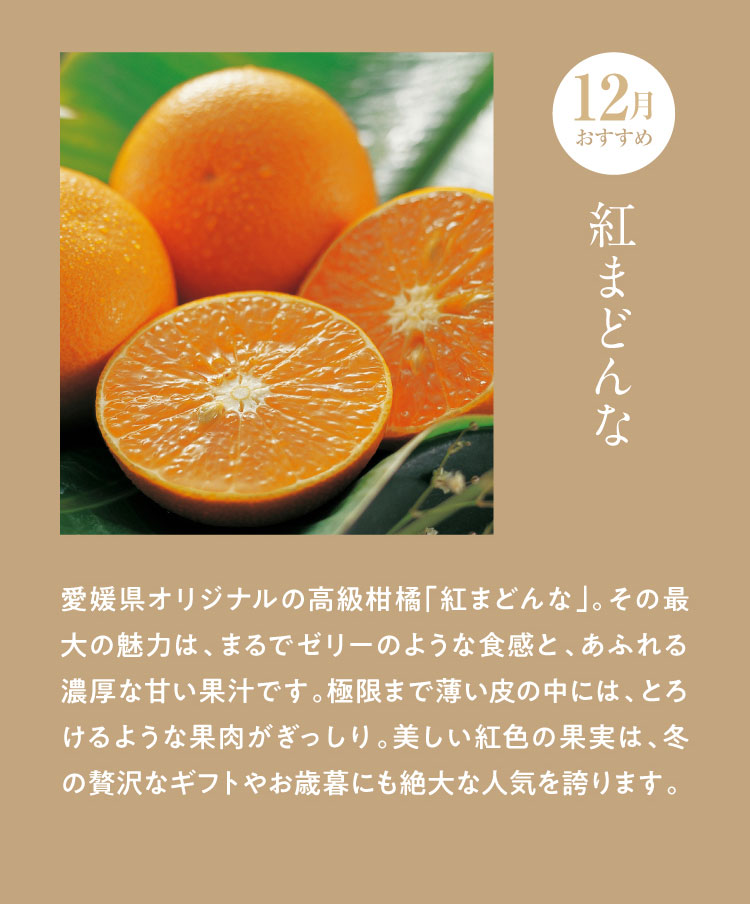 《月に一回のおたのしみ》ご褒美フルーツ定期便