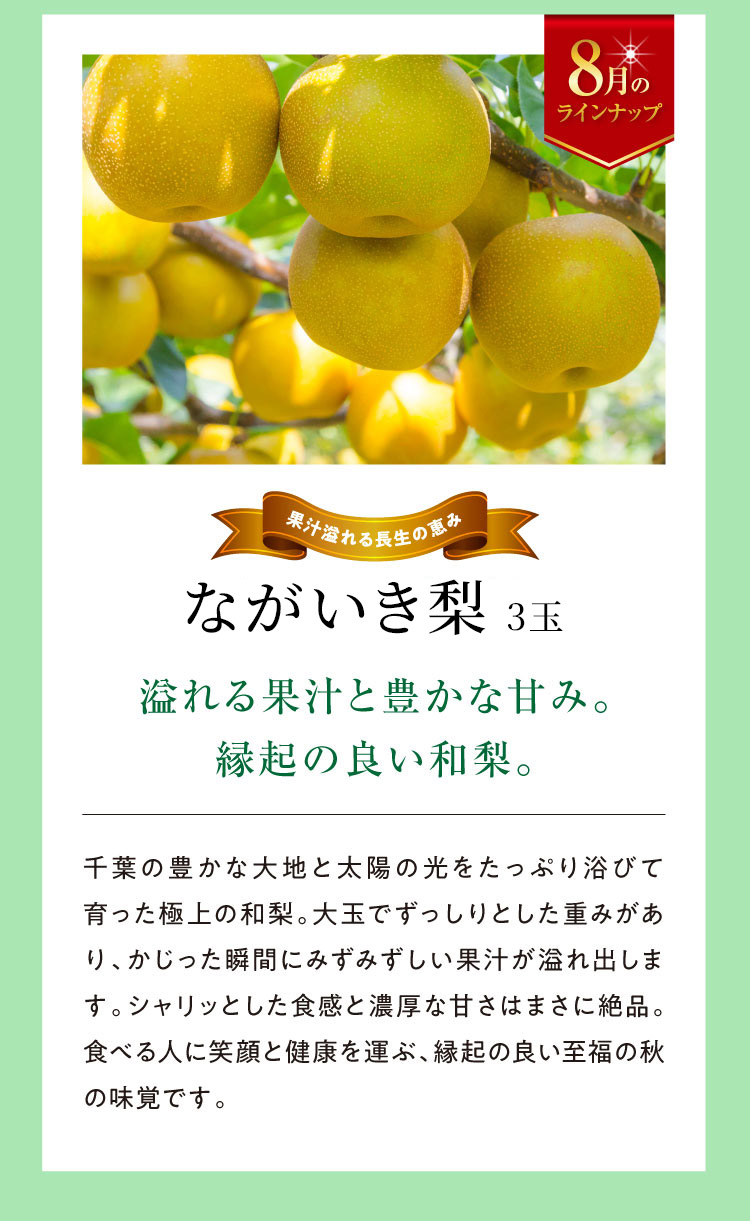《月に一回のおたのしみ》ご褒美フルーツ定期便