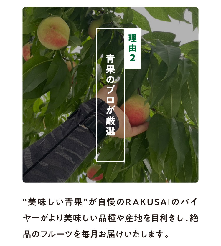 《月に一回のおたのしみ》ご褒美フルーツ定期便