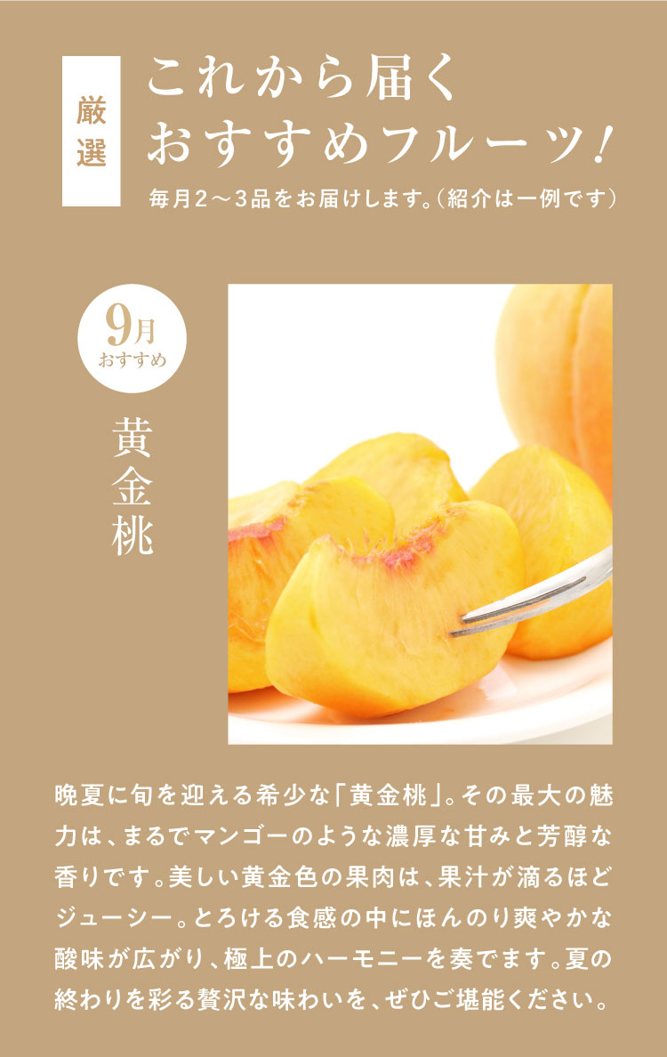 《月に一回のおたのしみ》ご褒美フルーツ定期便