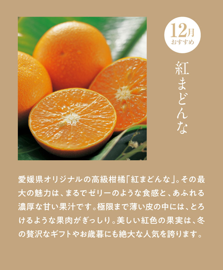 《月に一回のおたのしみ》ご褒美フルーツ定期便