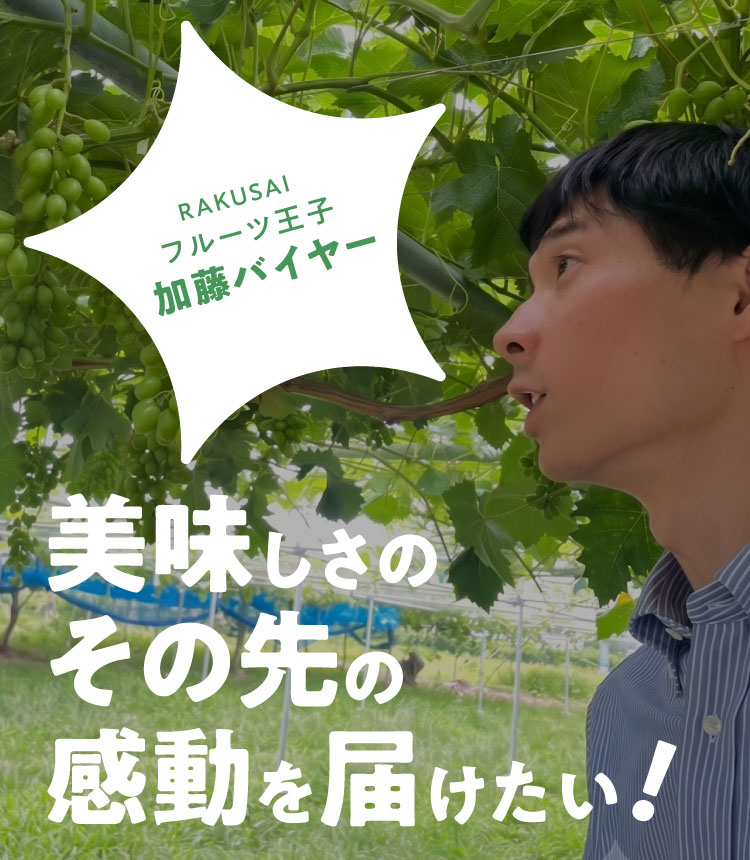 《月に一回のおたのしみ》ご褒美フルーツ定期便