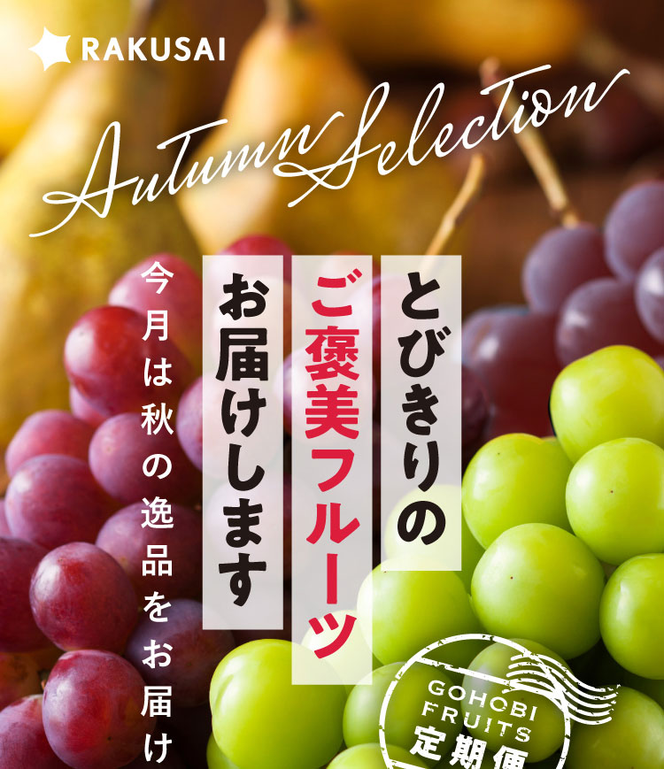 《月に一回のおたのしみ》ご褒美フルーツ定期便