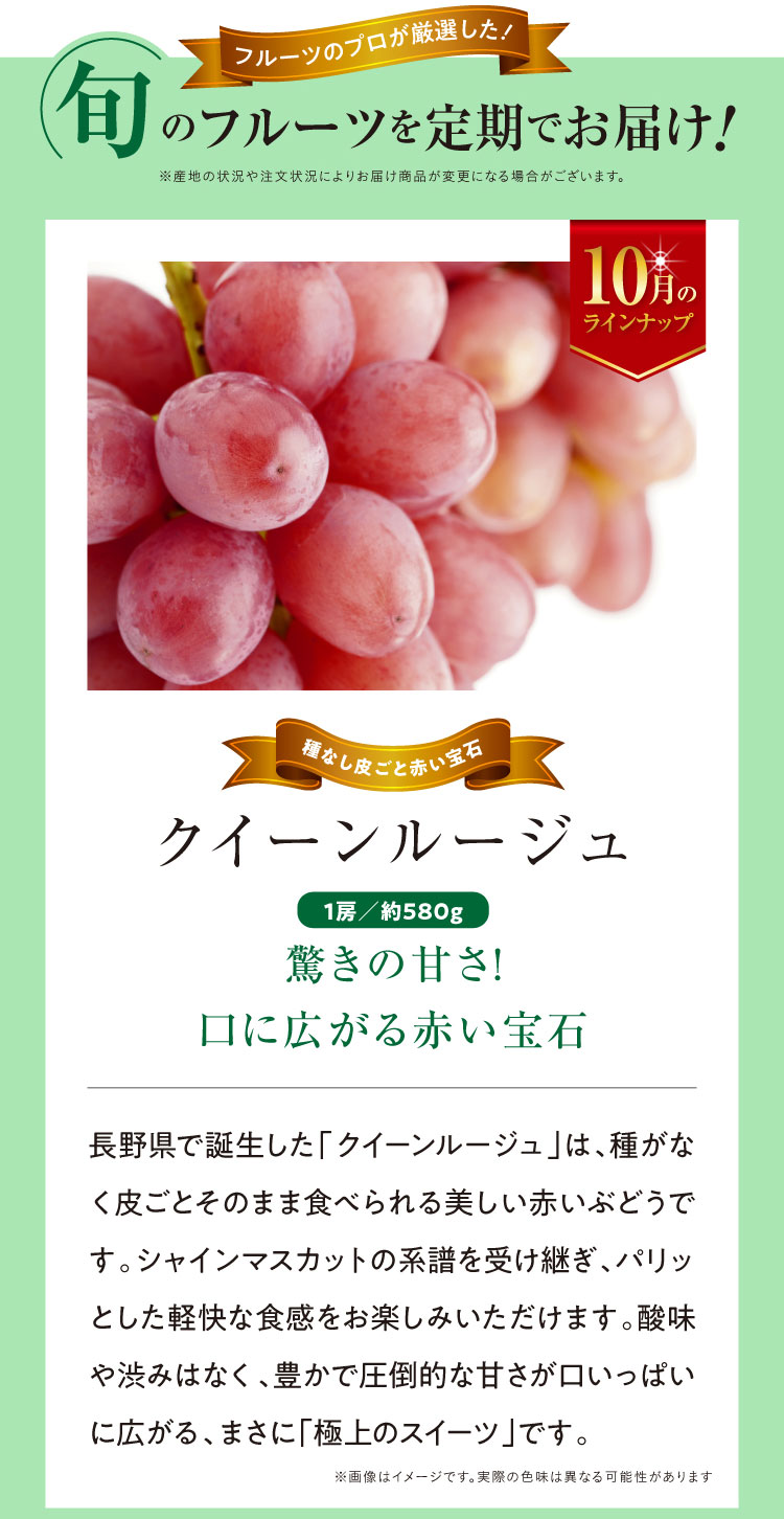 《月に一回のおたのしみ》ご褒美フルーツ定期便