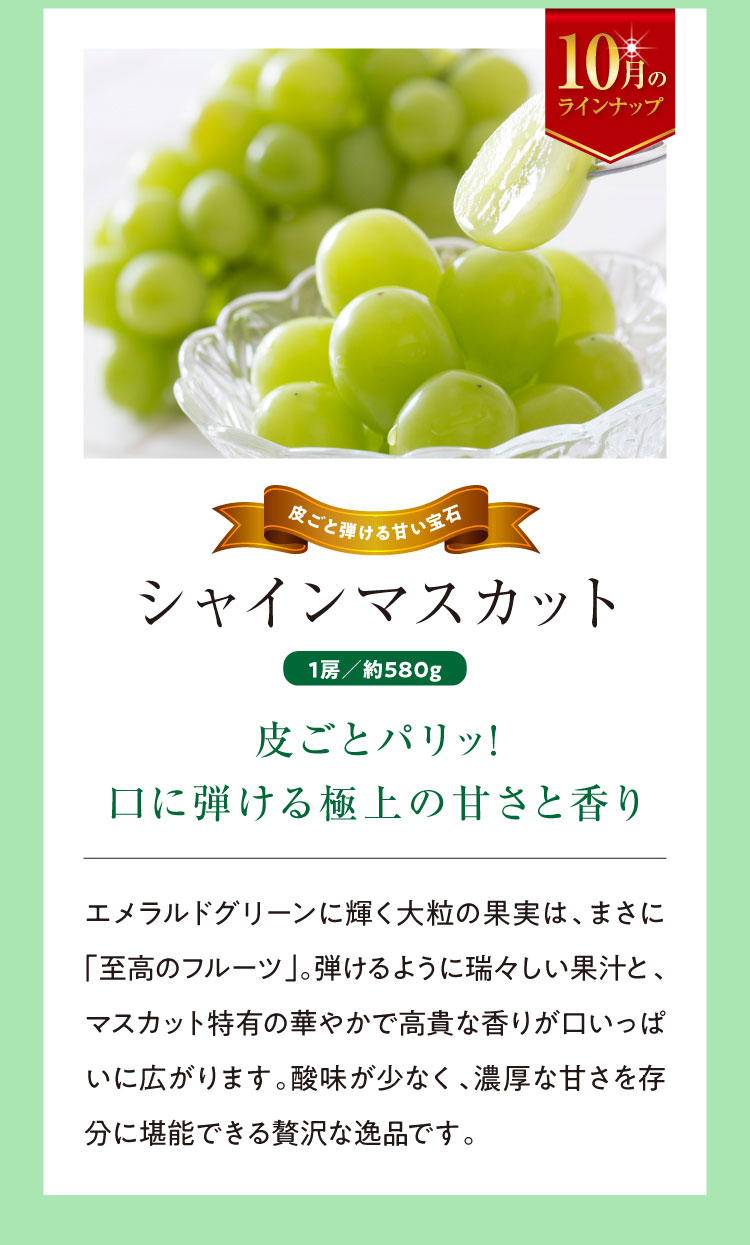 《月に一回のおたのしみ》ご褒美フルーツ定期便