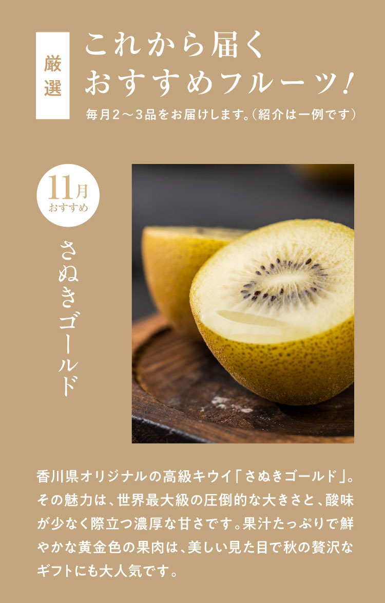 《月に一回のおたのしみ》ご褒美フルーツ定期便