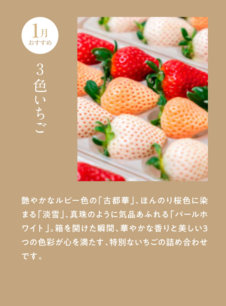 《月に一回のおたのしみ》ご褒美フルーツ定期便