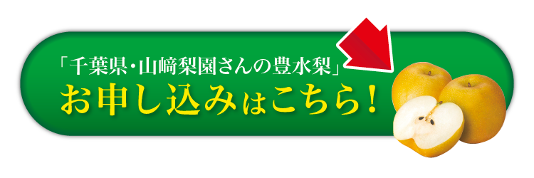 【バイヤー厳選】山﨑梨園さんの豊水梨（千葉県産）