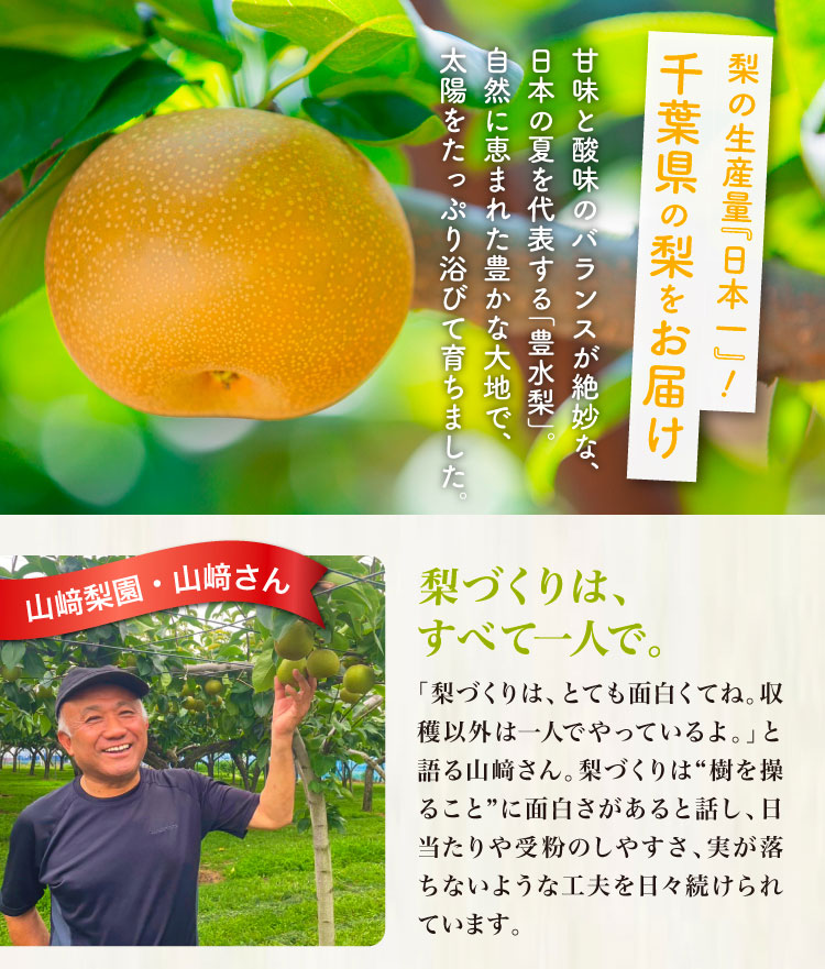 【バイヤー厳選】山﨑梨園さんの豊水梨（千葉県産）