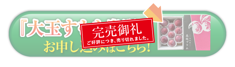 【産地直送】菊島さんの『大玉すもも 貴陽』（山梨県産）