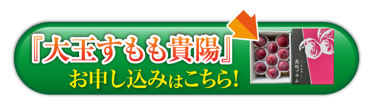 【産地直送】菊島さんの『大玉すもも 貴陽』（山梨県産）