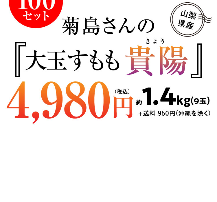【産地直送】菊島さんの『大玉すもも 貴陽』（山梨県産）