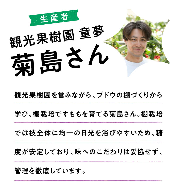 【産地直送】菊島さんの『大玉すもも 貴陽』（山梨県産）