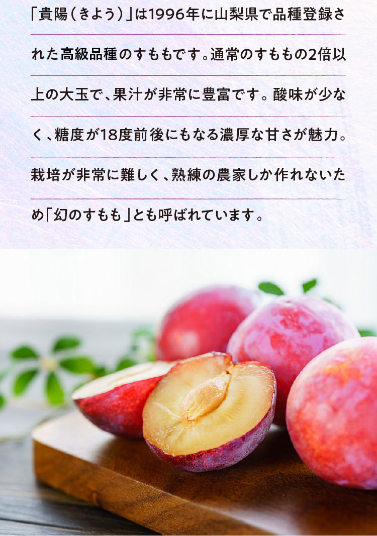 【産地直送】菊島さんの『大玉すもも 貴陽』（山梨県産）